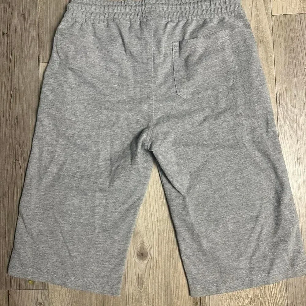 Us-polo-assn Men's Grey Shorts
